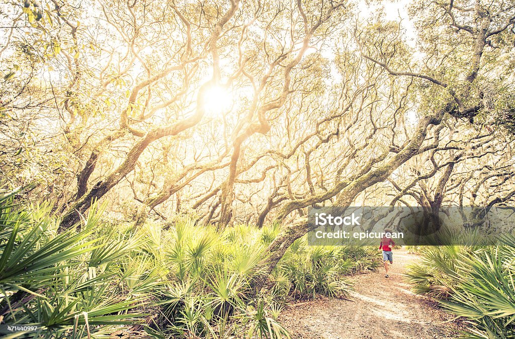 Maschio runner in corsa di allenamento attraverso boschi al tramonto - Foto stock royalty-free di 20-24 anni