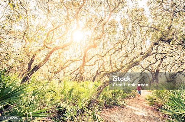 Foto de Corredor Masculino Em Treinamento Corrida Pela Floresta Ao Pôr Do Sol e mais fotos de stock de 20 Anos