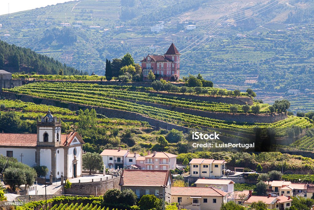 Vallée du Douro - Photo de Fleuve Douro libre de droits