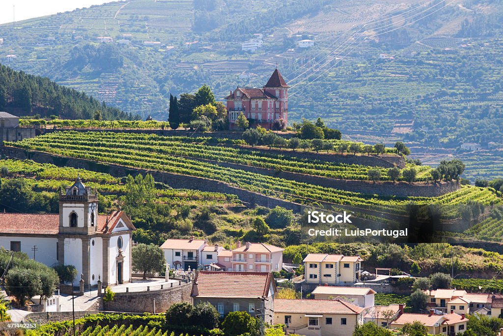 Dolina Douro - Zbiór zdjęć royalty-free (Rzeka Duero)