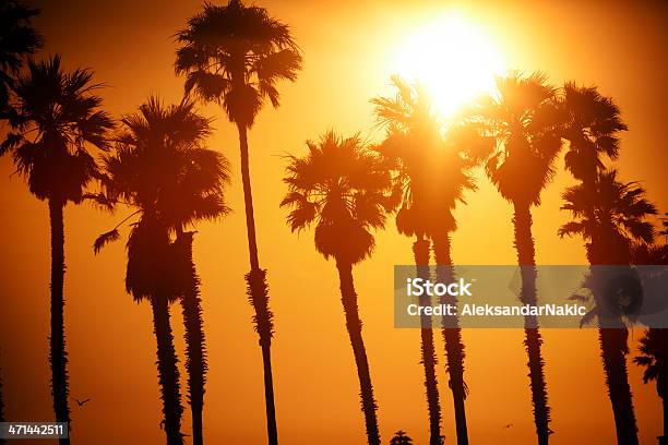 Stan Kalifornia - zdjęcia stockowe i więcej obrazów Bez ludzi - Bez ludzi, Fotografika, Horyzontalny