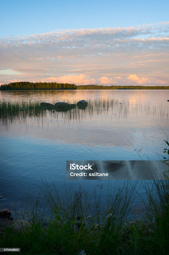 Scandinavia Finlandia lago in estate - Foto stock royalty-free di Acqua