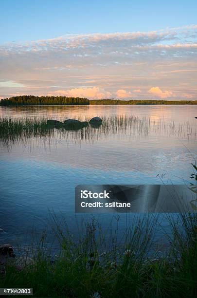 Scandinavia Finlandia Lago In Estate - Fotografie stock e altre immagini di Acqua - Acqua, Ambientazione esterna, Area selvatica