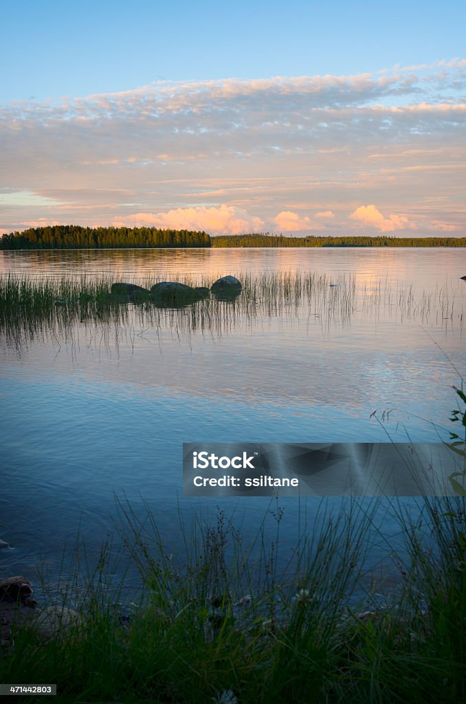 スカンジナビアフィンランド夏の湖の - フィンランドのロイヤリティフリーストックフォト