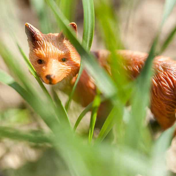 istock fox toy in outdoor 471443078