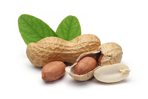 shelled peanuts and leaves stock photo