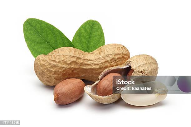 Descascados Amendoins E Folhas - Fotografias de stock e mais imagens de Amendoim - Alimento - Amendoim - Alimento, Isolado, Flora