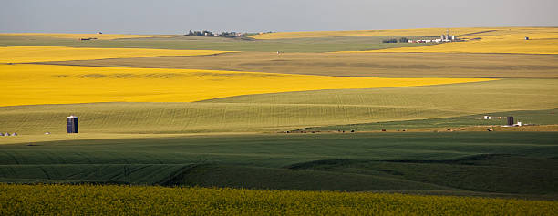 virar-da-pradaria - prairie wide landscape sky imagens e fotografias de stock