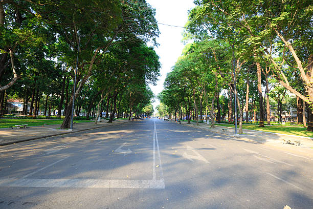 istock Asphalt road with tree in city 471445172