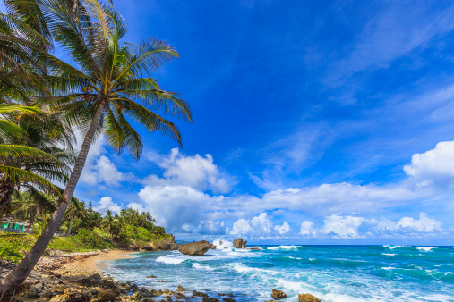 Martin's Bay is a small fishing village overlooking the beautiful east coast of Barbados.