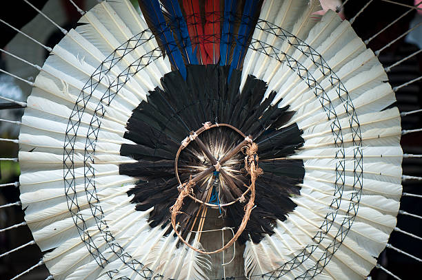 carajá coiffe amérindienne - feather headdress photos et images de collection