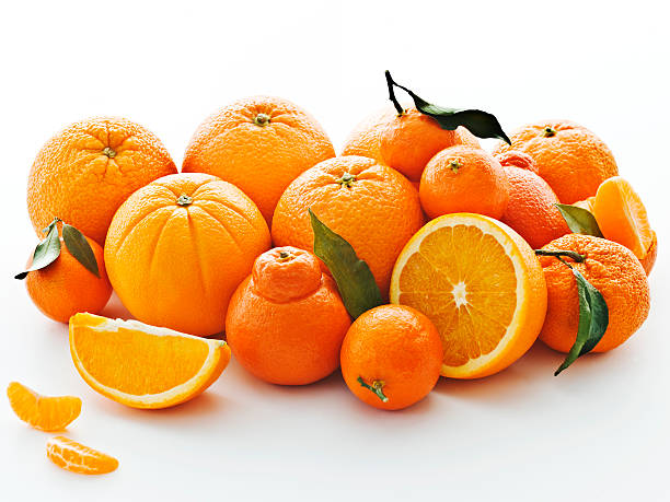 istock citrus family portrait 471446289
