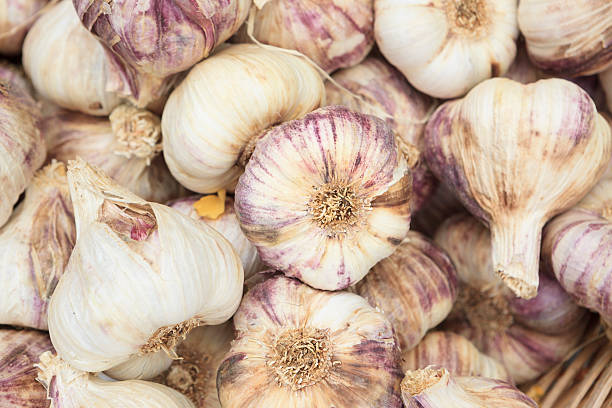 istock Fresh rosy garlic bulbs in a basket 471447131