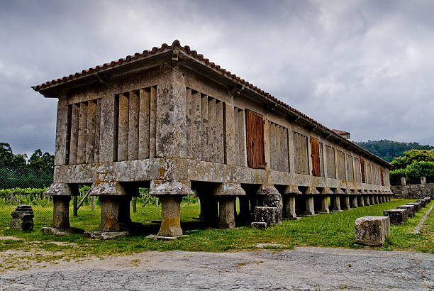 galicyjski "horreo”. tipical gran sklepu - hórreos zdjęcia i obrazy z banku zdjęć