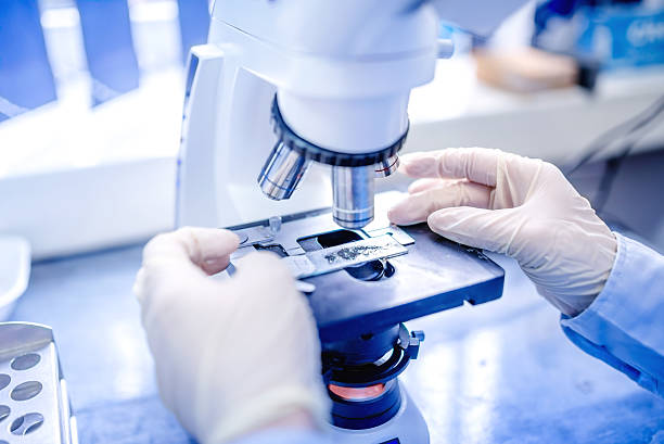 scientist hands with microscope, examining samples and liquid scientist hands with microscope, examining samples and liquid. Medical research with technical equipment microscope stock pictures, royalty-free photos & images