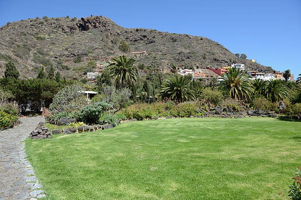 jardin солидарности коморских в лас-пальмас-де-гран-канария - park lawn las palmas de gran canaria canary islands стоковые фото и изображения