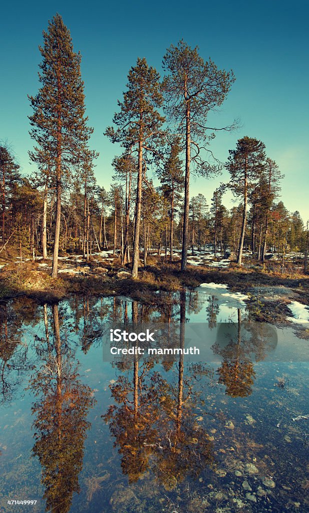 Frühling kommt in Finnland - Lizenzfrei April Stock-Foto