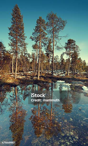 Frühling Kommt In Finnland Stockfoto und mehr Bilder von April - April, Eis, Finnisch-Lappland