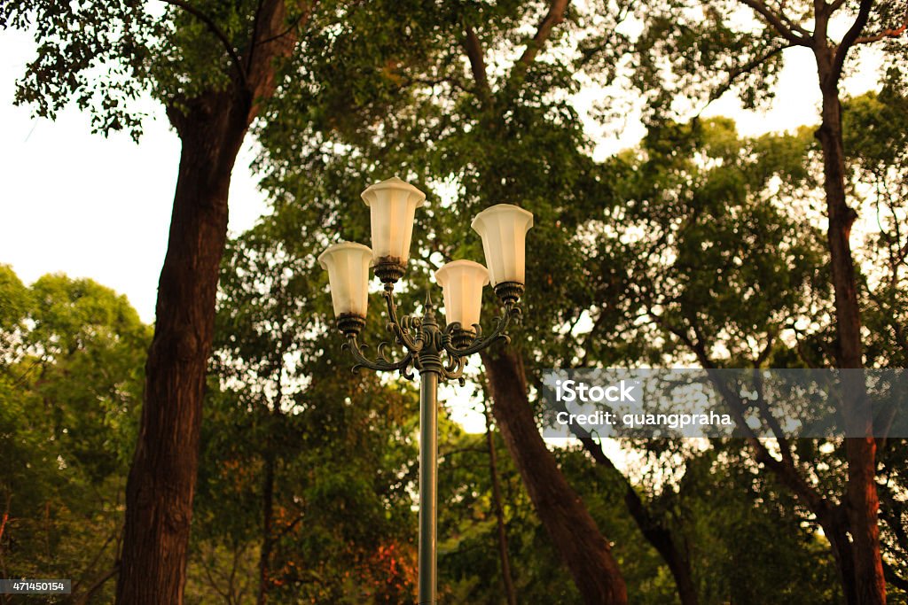 lamppost in city park City Stock Photo