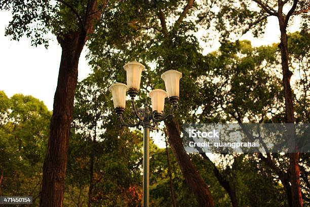 Lamppost In City Park Stock Photo - Download Image Now - City, Gardening, Senior Adult