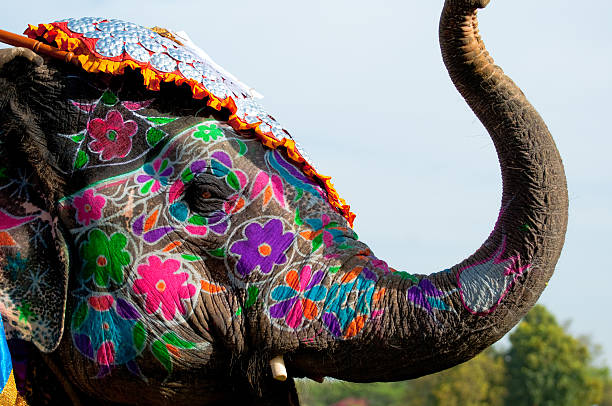 The annual elephant festival in Jaipur, India showcases the beauty of elephants as they walk amongst us painted in vegetable dyes