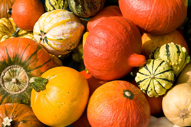 istock Many colourful decorative gourds at a market stall 471450527