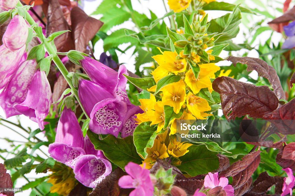Ramo de flores silvestres - Foto de stock de Amarillo - Color libre de derechos