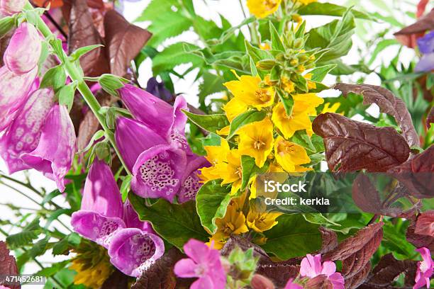 Ramo De Flores Silvestres Foto de stock y más banco de imágenes de Amarillo - Color - Amarillo - Color, Buqué, Color - Tipo de imagen