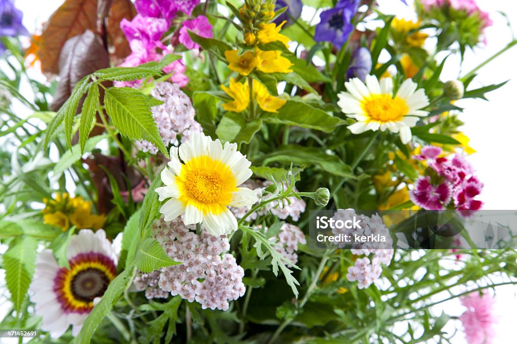 Buquê de flores silvestres - Foto de stock de Bouquet royalty-free