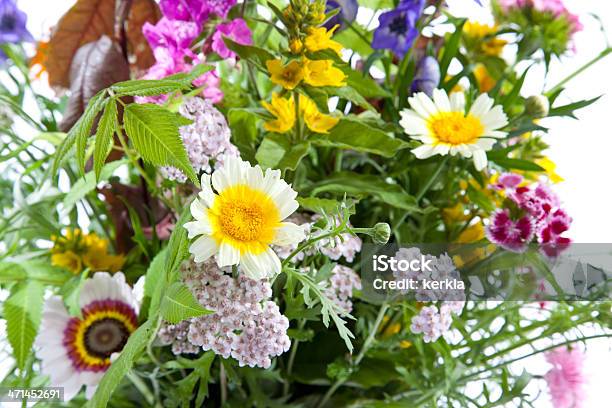 Bouquet De Wildflowers - Fotografias de stock e mais imagens de Bouquet - Bouquet, Granadilha, Amarelo