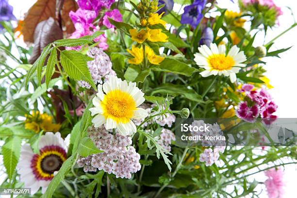 Букет Wildflowers — стоковые фотографии и другие картинки Букет - Букет, Полевой цветок, Без людей