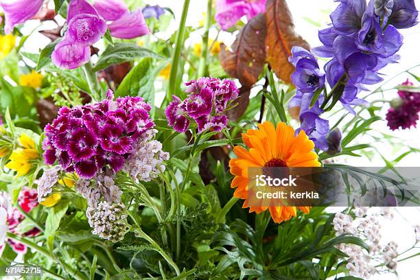 Foto de Buquê De Flores Silvestres e mais fotos de stock de Acônito - Acônito, Amarelo, Bouquet