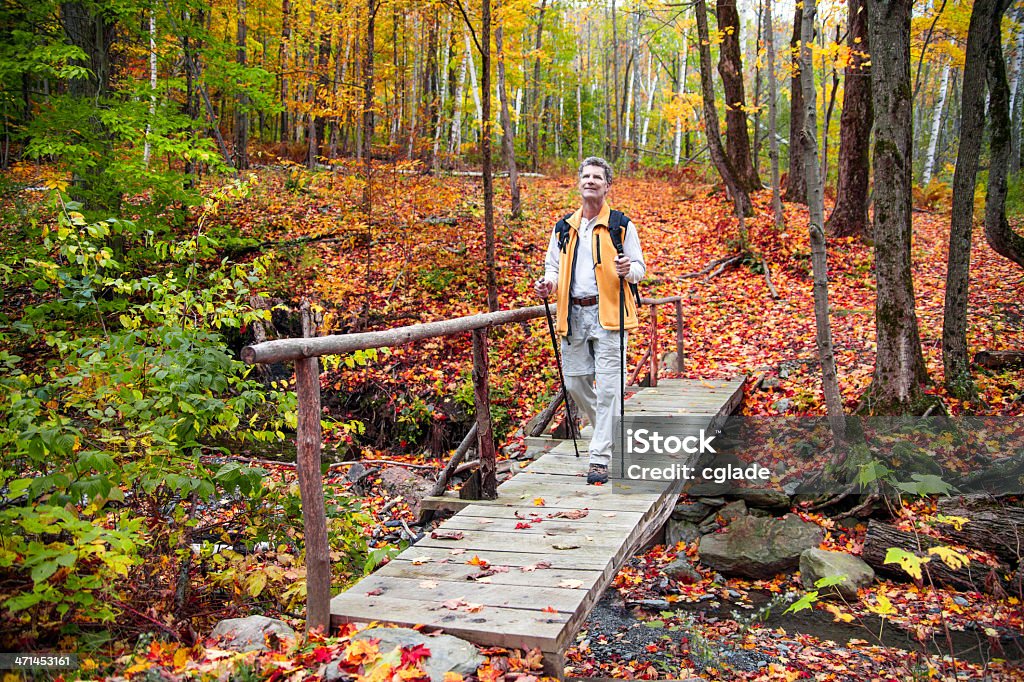 Senior Man Hiking in Woods Happy mature adult walking through woods 50-59 Years Stock Photo