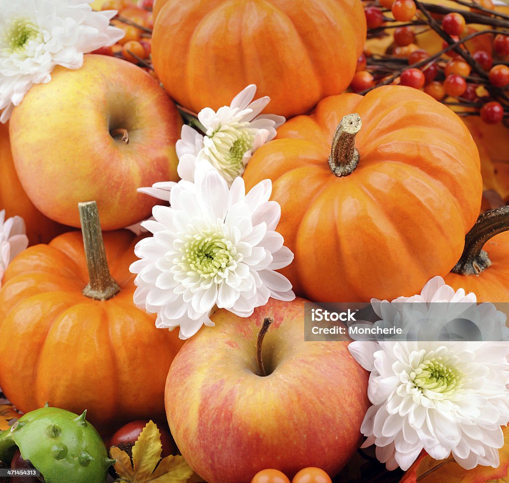 Herbst Dekoration - Lizenzfrei Ahorn Stock-Foto