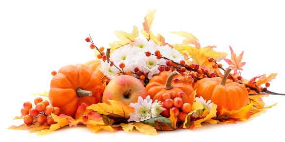 Autumn decoration on white with copy space 