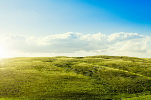 istock Majestic Tuscany wheat landscape at dusk 471454631