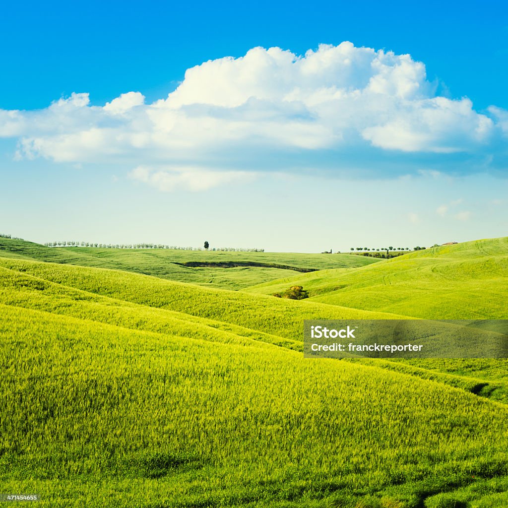 Majestic Toskana Weizen Landschaft in der Abenddämmerung - Lizenzfrei Abenddämmerung Stock-Foto