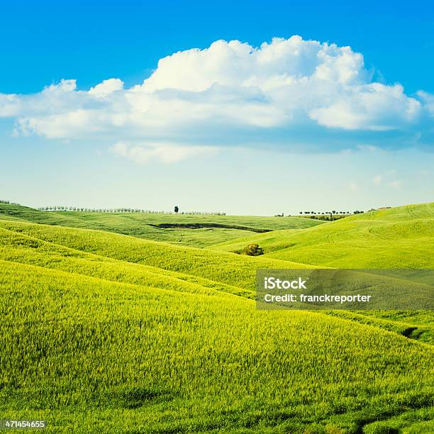 Majestic Toskana Weizen Landschaft In Der Abenddämmerung Stockfoto und mehr Bilder von Abenddämmerung