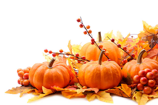 decoración de otoño sobre blanco con espacio de copia - pumpkin fotografías e imágenes de stock