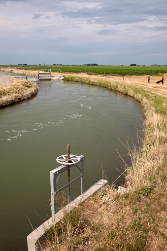Water flows through an irrigation canal along the Snake River near Burley, Idaho. Individual head gates with valves or wheels open water pipes leading to various crops. 