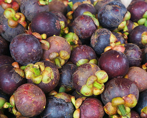 istock Mangosteen Fruits 471456356