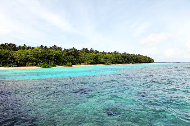 istock Tropical island at Maldives 471456849