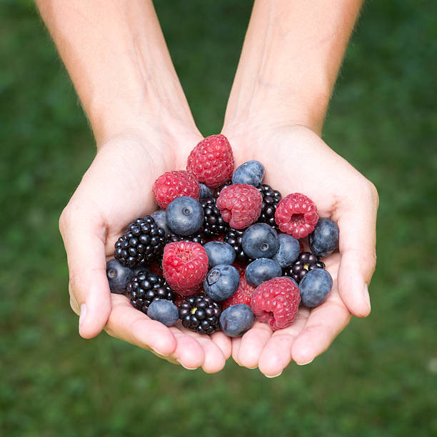 istock Organic Berries - Grown in the Wild (XXXL) 471457555