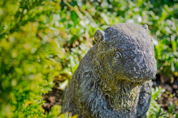 Stone beaver among garden plants, garden decoration element