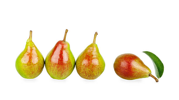 istock three pears are in a row one lies with leaf 471457810