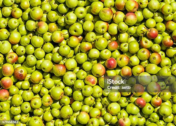 Green Apple Texture Xxxl Resolution Stock Photo - Download Image Now - Apple - Fruit, Backgrounds, Day