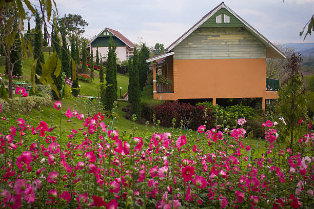 istock house with garden on the hill 471458833