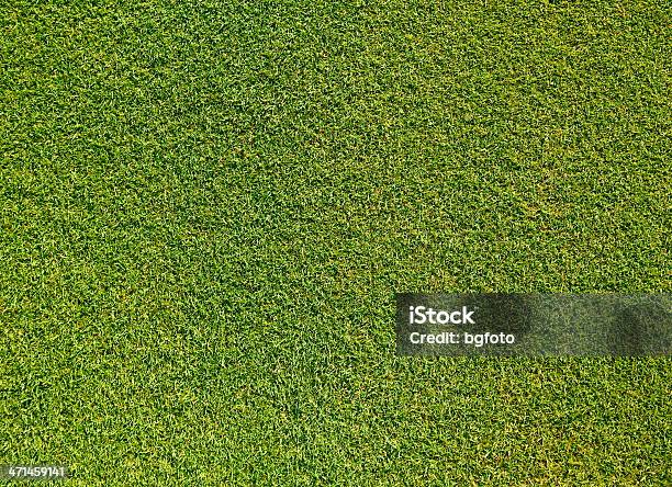 Sfondo Di Erba Verde Xxl - Fotografie stock e altre immagini di Erba - Erba, Golf, Veduta aerea