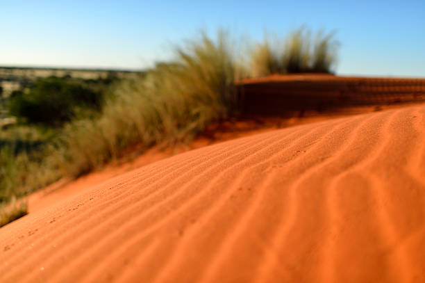 istock Shallow depth of field dune riples 471460275