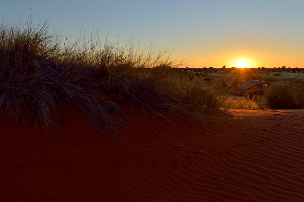 istock Sunrise at Bagatelle Kalahari 471460279
